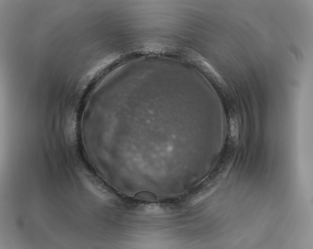 X0000113600588200910091522