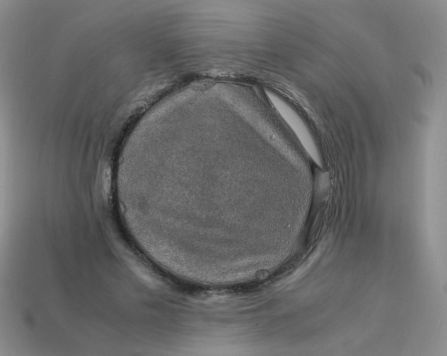 X0000113600589200910091522