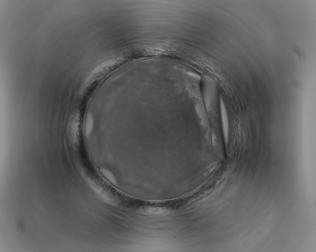 X0000113600590200910091522