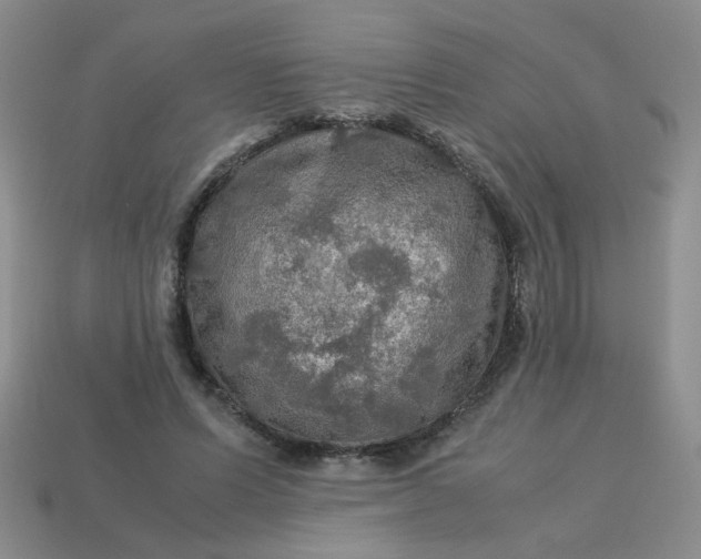 X0000113600591200910091522