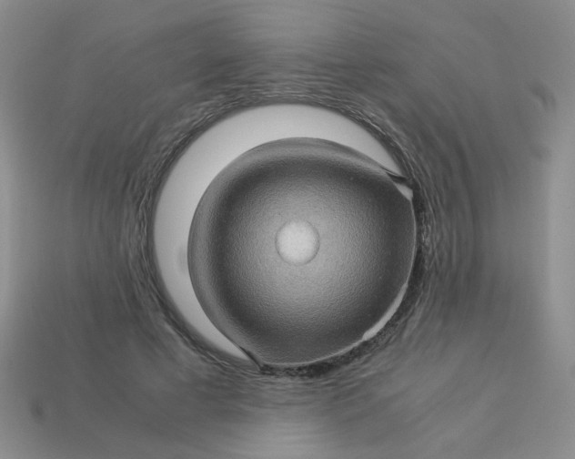 X0000113600593200910091522