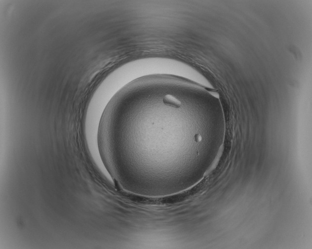 X0000113600595200910091522