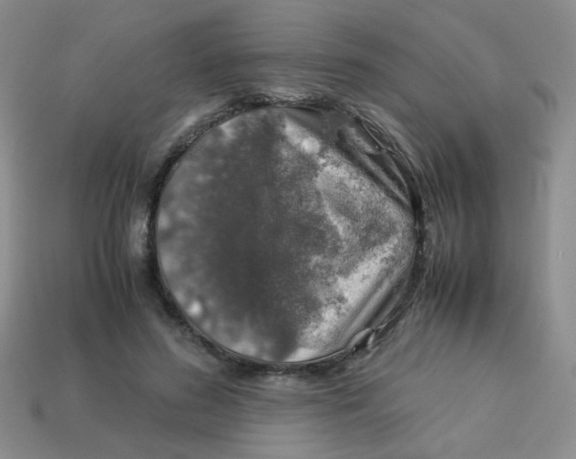 X0000113600596200910091522