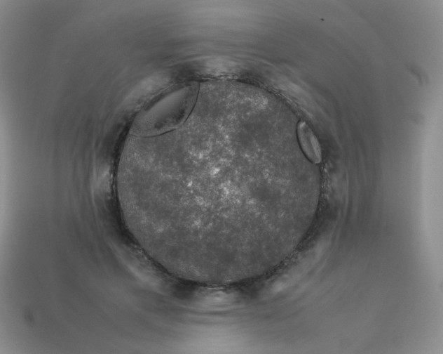 X0000113600597200910091522