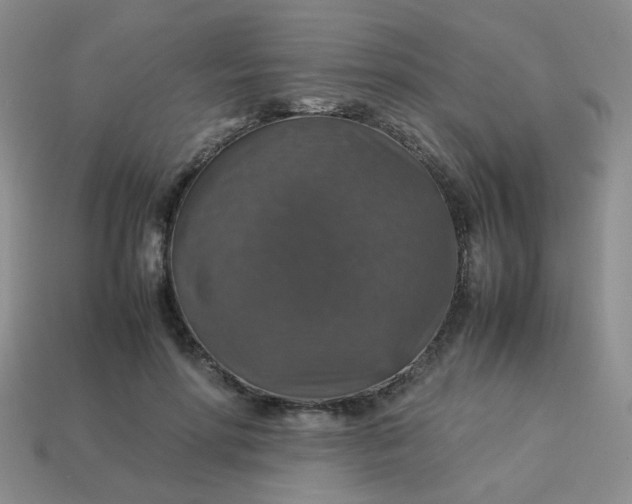 X0000113600598200910091522