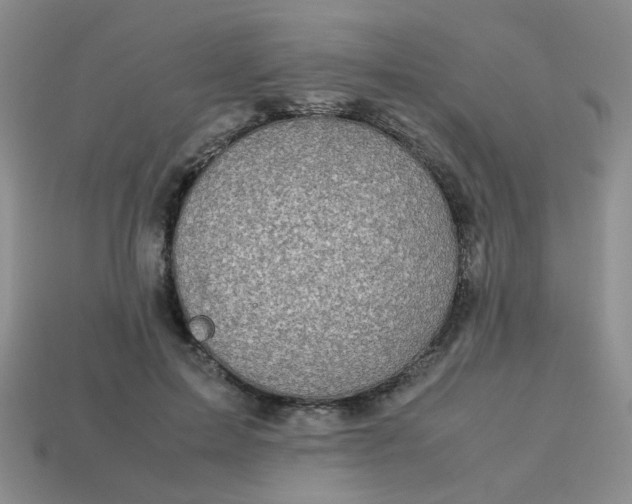 X0000113600599200910091522