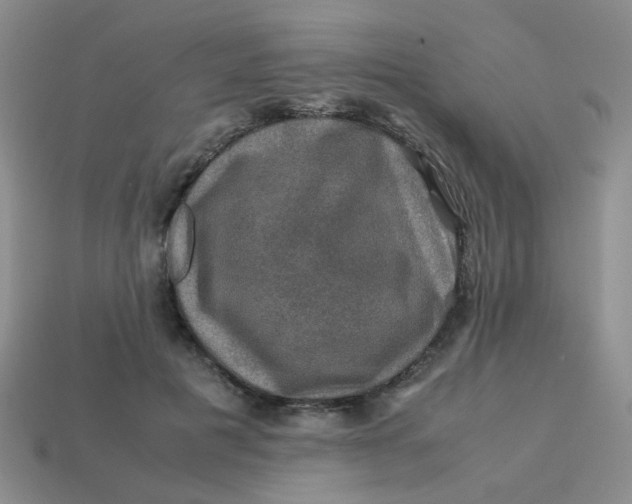 X0000113600601200910091522