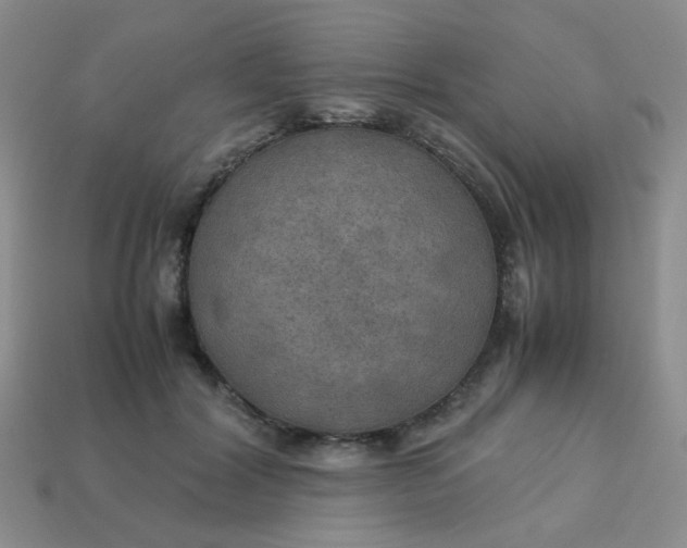 X0000113600604200910091522