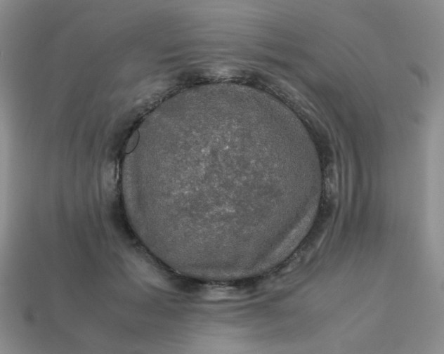 X0000113600605200910091522