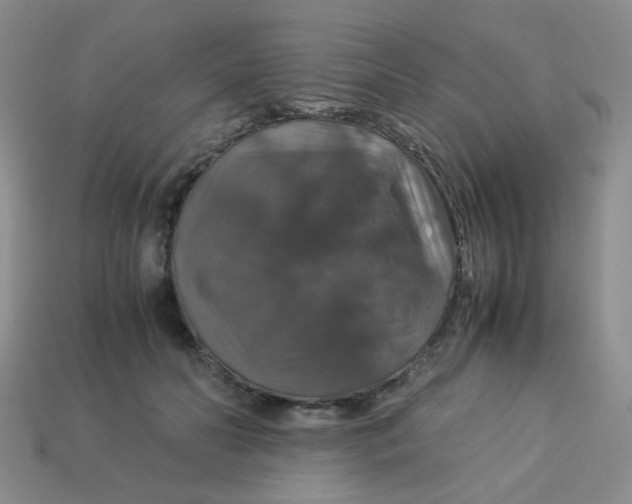 X0000113600606200910091522