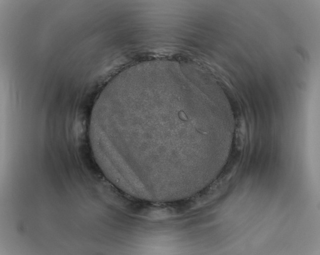 X0000113600608200910091522