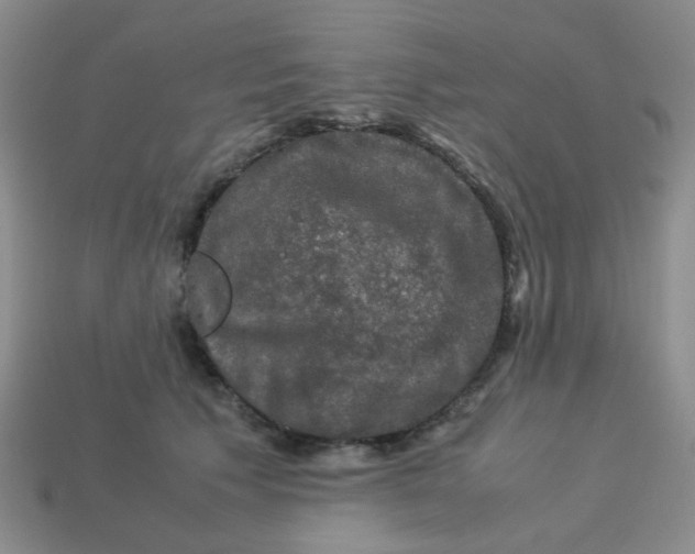 X0000113600609200910091522