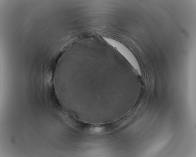 X0000113600610200910091522