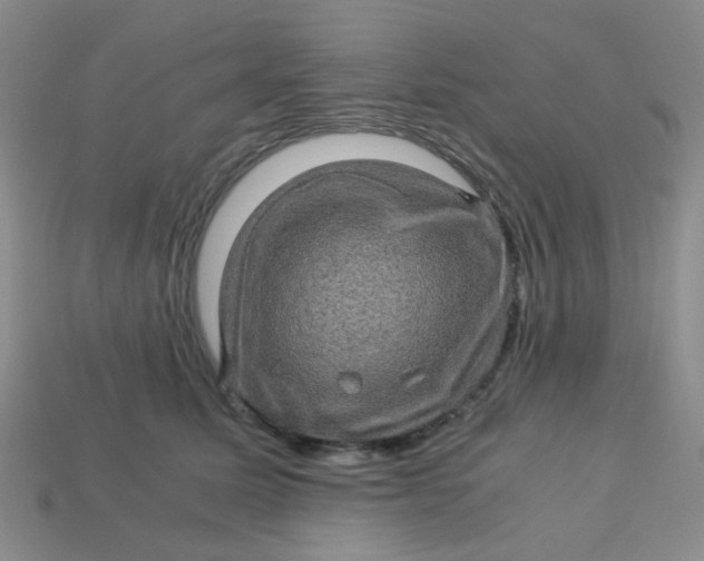 X0000113600611200910091522