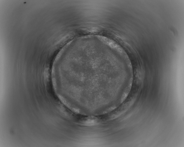 X0000113600612200910091522