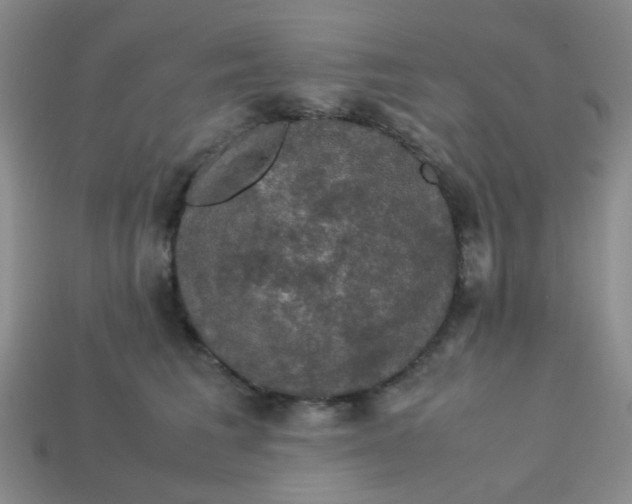 X0000113600613200910091522