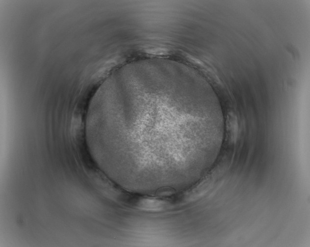 X0000113600614200910091522