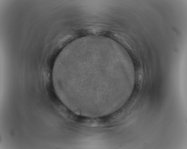 X0000113600615200910091522