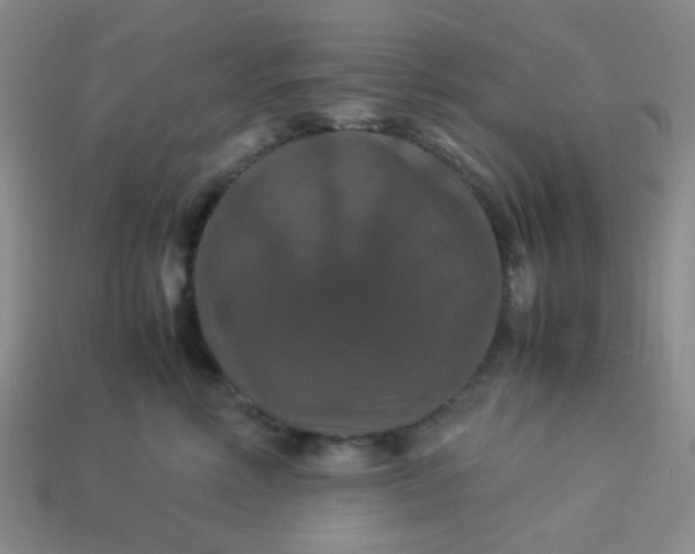 X0000113600618200910091522