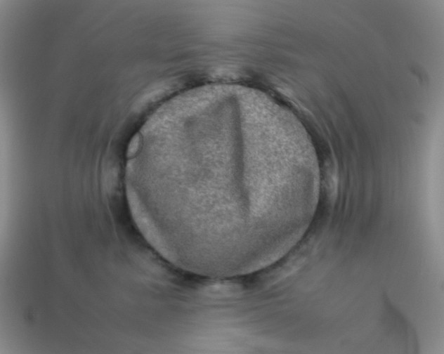 X0000113600619200910091522