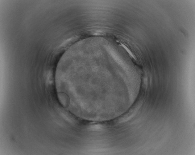 X0000113600620200910091522