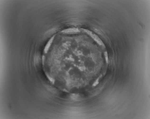 X0000113600623200910091522