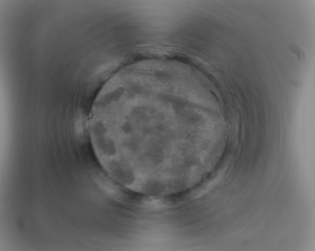 X0000113600624200910091522