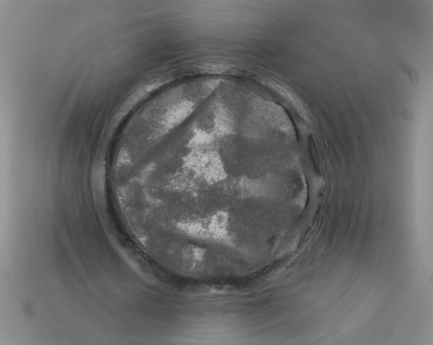 X0000113600626200910091521