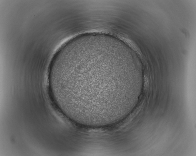 X0000113600628200910091521