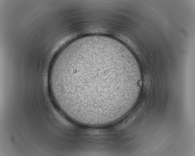 X0000113600629200910091521