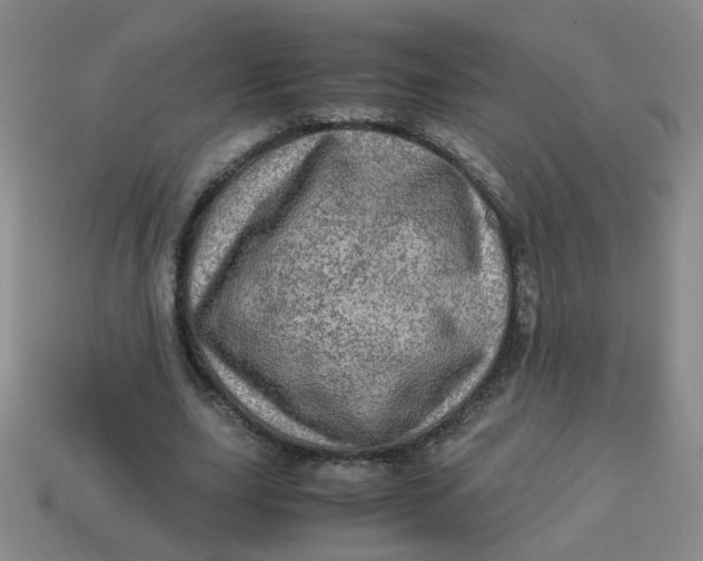 X0000113600631200910091521