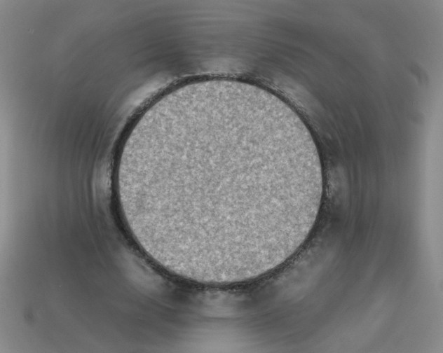 X0000113600632200910091521