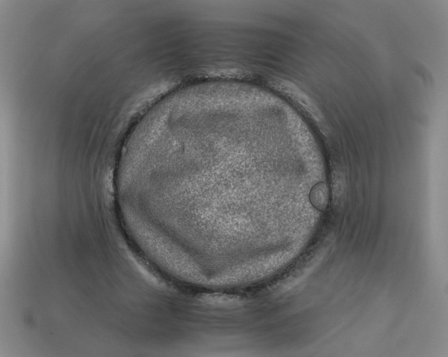 X0000113600633200910091521