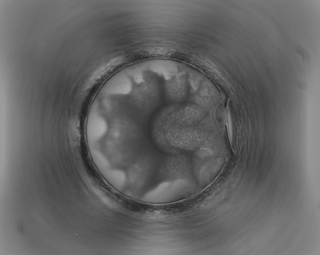 X0000113600634200910091521