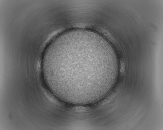 X0000113600636200910091521