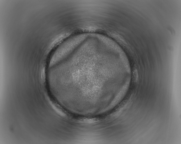 X0000113600638200910091521