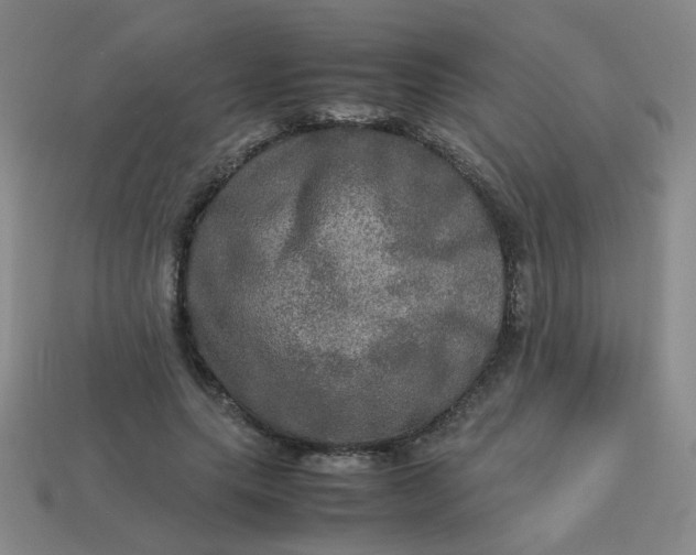 X0000113600639200910091521