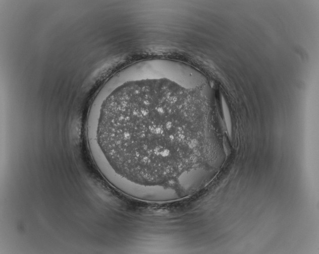 X0000113600640200910091521