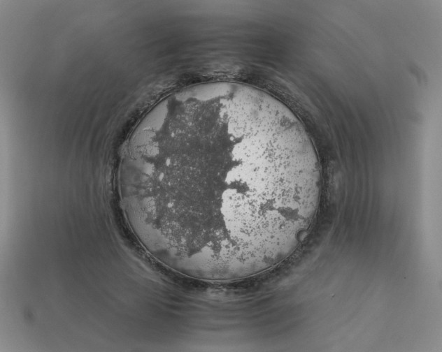 X0000113600641200910091521