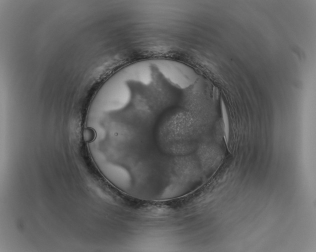 X0000113600642200910091521