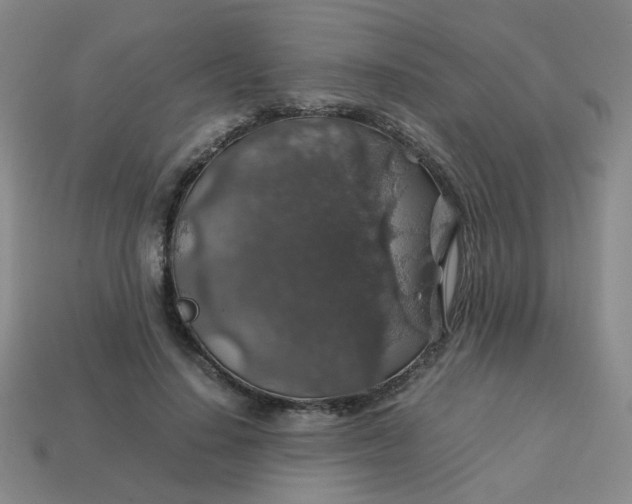 X0000113600644200910091521