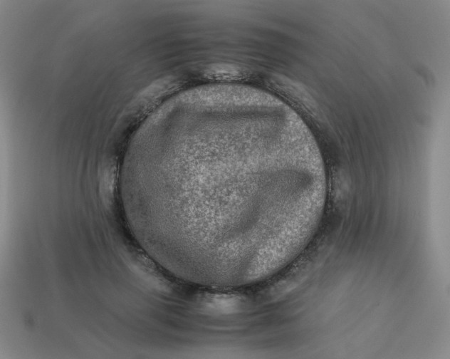 X0000113600645200910091521