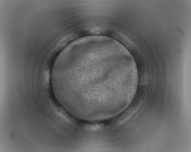 X0000113600646200910091521