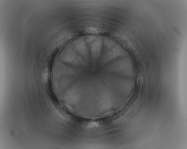 X0000113600647200910091521