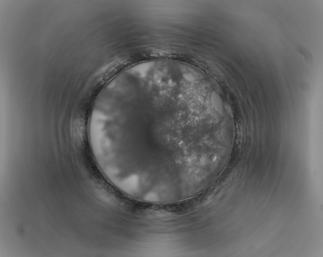 X0000113600648200910091521