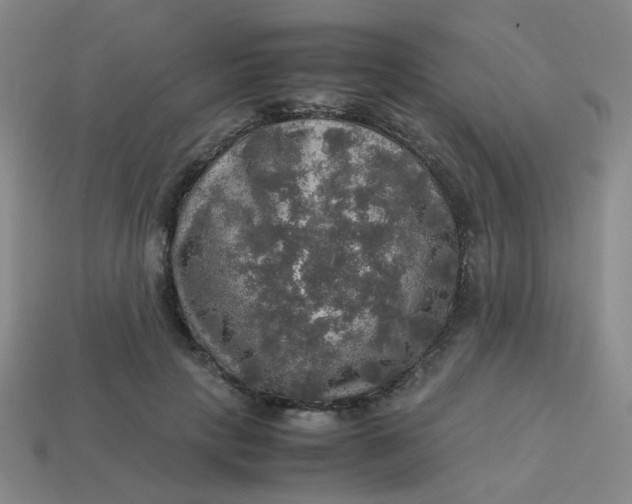 X0000113600649200910091521