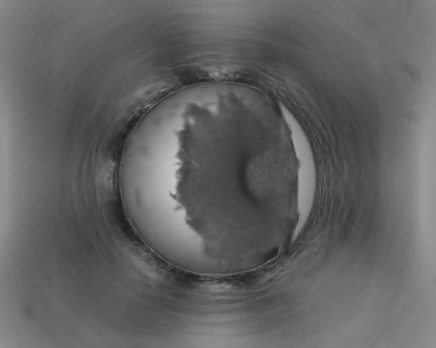 X0000113600650200910091521