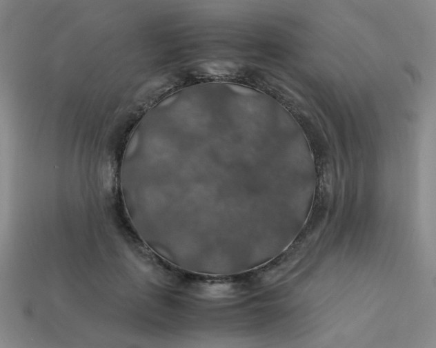 X0000113600651200910091521