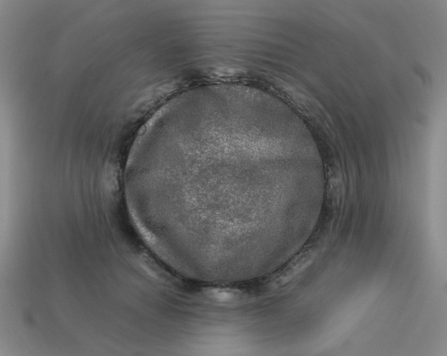 X0000113600654200910091521