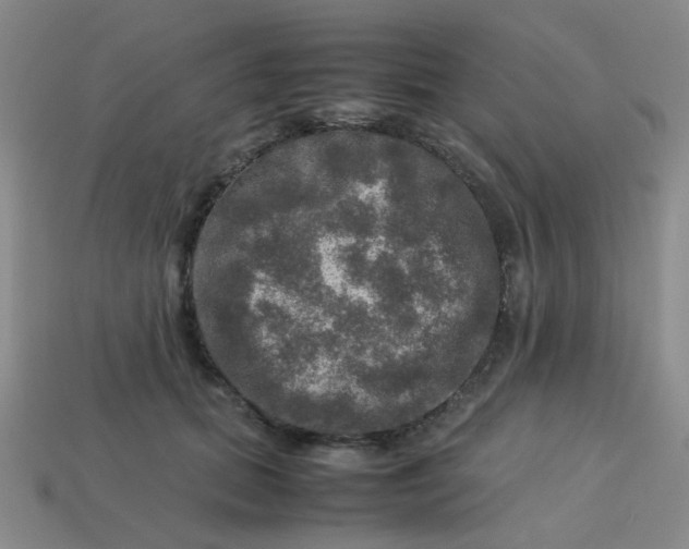 X0000113600655200910091521